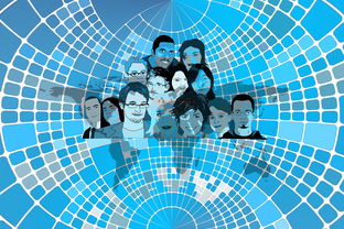 Leyu Sport登录入口-美国队赛制分析：赛制中的人员调整与战术变化，美国队训练赛