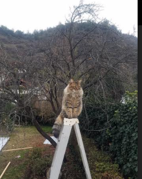 乐鱼娱乐app-体育新闻中心同步更新各地体育赛事备案动态，体育赛事网址