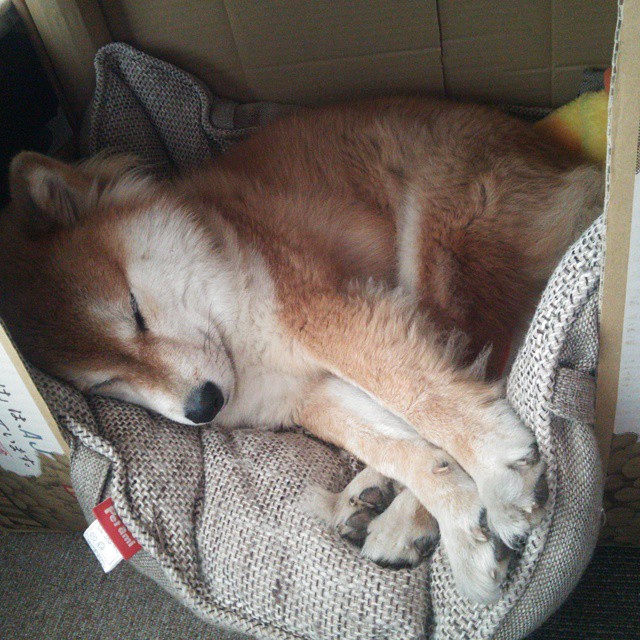 乐鱼电竞在线平台-女篮新秀荣获月度最佳展现稳定表现赢得外界高度认可,女蓝新星