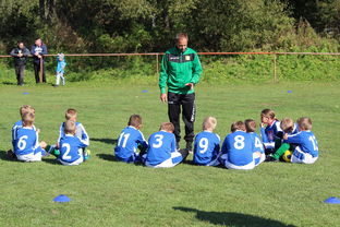 乐鱼体育APP官方下载-欧洲杯幕后策略:战术大翻盘令人震惊,欧洲杯探讨