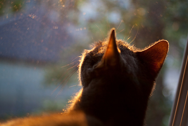 LEYU乐鱼体育官方网站-游泳选手节奏控制技术意识显著强化,游泳动作节奏是什么